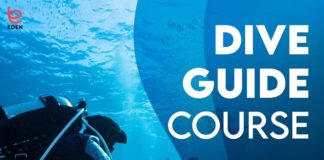DiveGuide Course