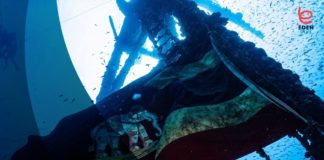 Wreck Diving